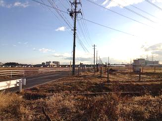 d0261484_1527521.jpg