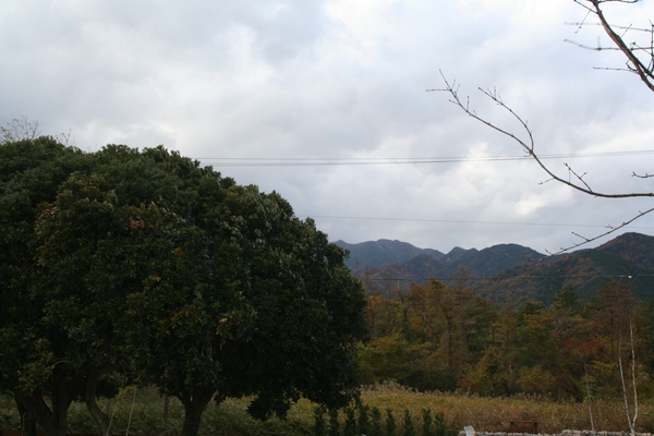 d0263686_030315.jpg