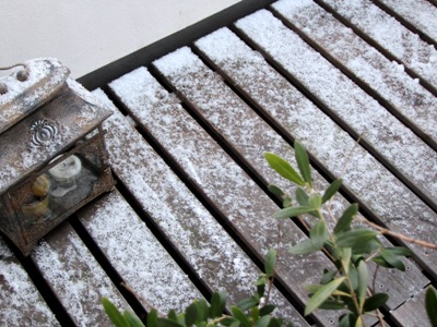 雪と 花のほころびと 温かさ _d0249193_11124714.jpg