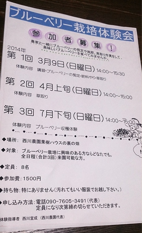 ブルーベリー栽培体験会参加者募集のお知らせ_b0028299_20494317.jpg