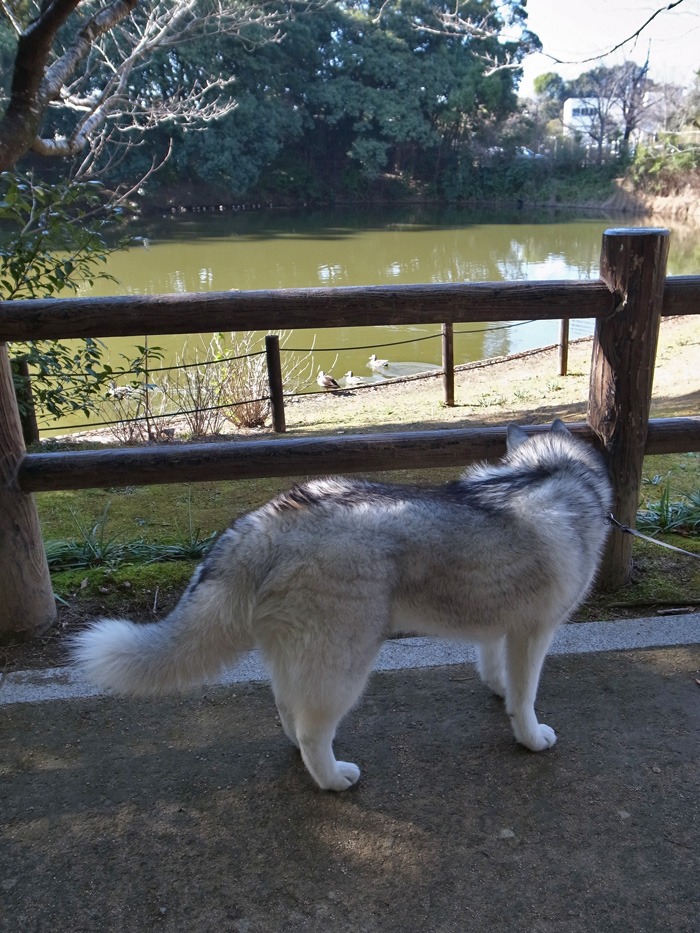 はじめての試練…かもしれん_c0049299_1944153.jpg