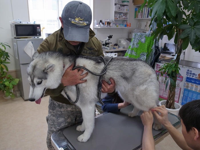 はじめての試練…かもしれん_c0049299_19454243.jpg