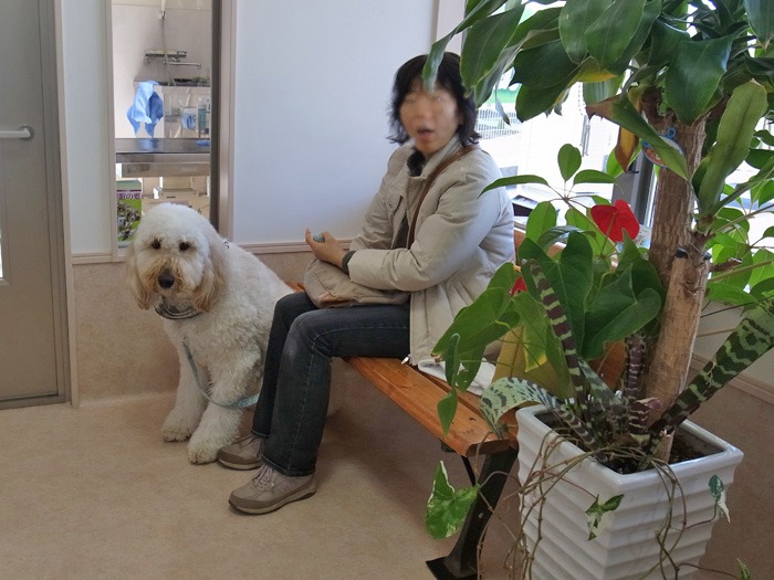 はじめての試練…かもしれん_c0049299_19485567.jpg