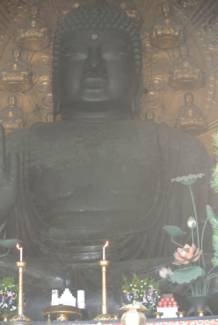 東大寺 大仏殿 盧舎那仏像_b0144301_11155537.jpg