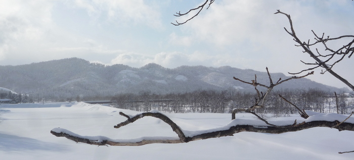 お馴染み雪景色指定席・冬のみちのく一人旅だったら～大満足？_a0214206_1111423.jpg