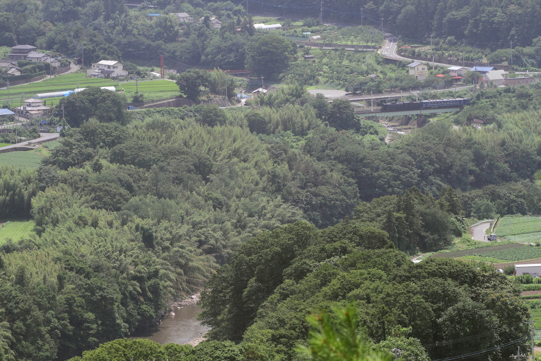 夏の蒸気機関車 - 2013年夏・上越線 - _b0190710_2345771.jpg