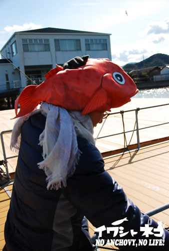 e0207511_1561216.jpg