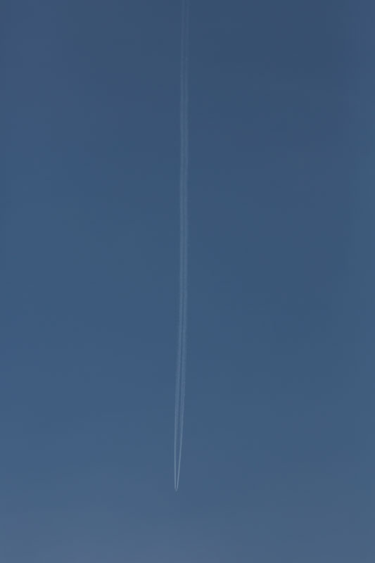 a0278914_147496.jpg