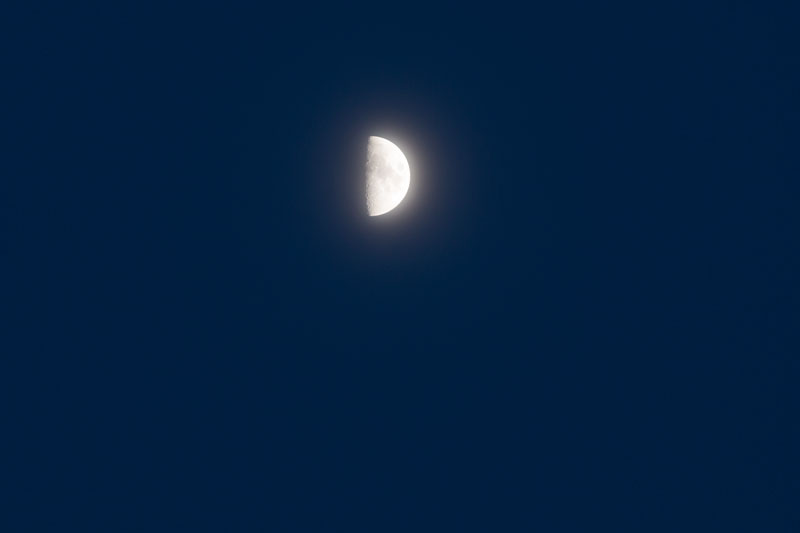 a0278914_1755453.jpg