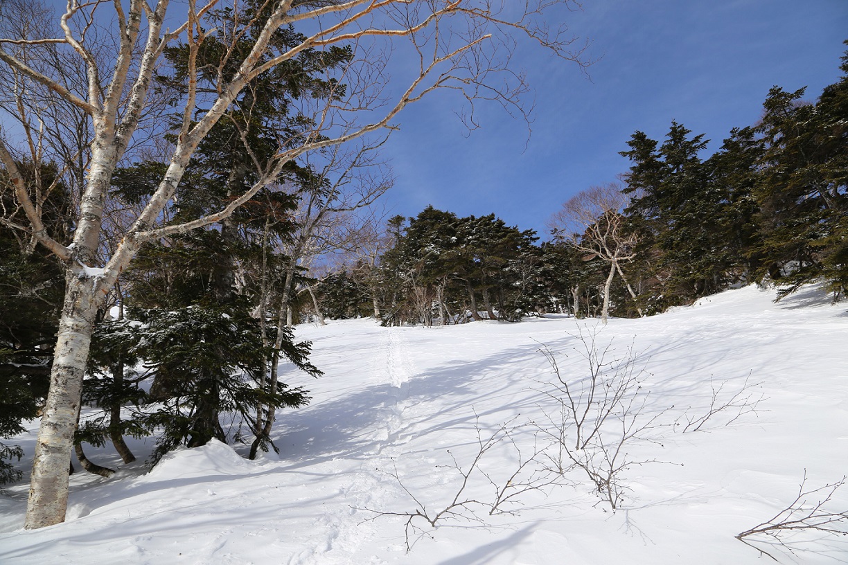 b0062024_19495219.jpg