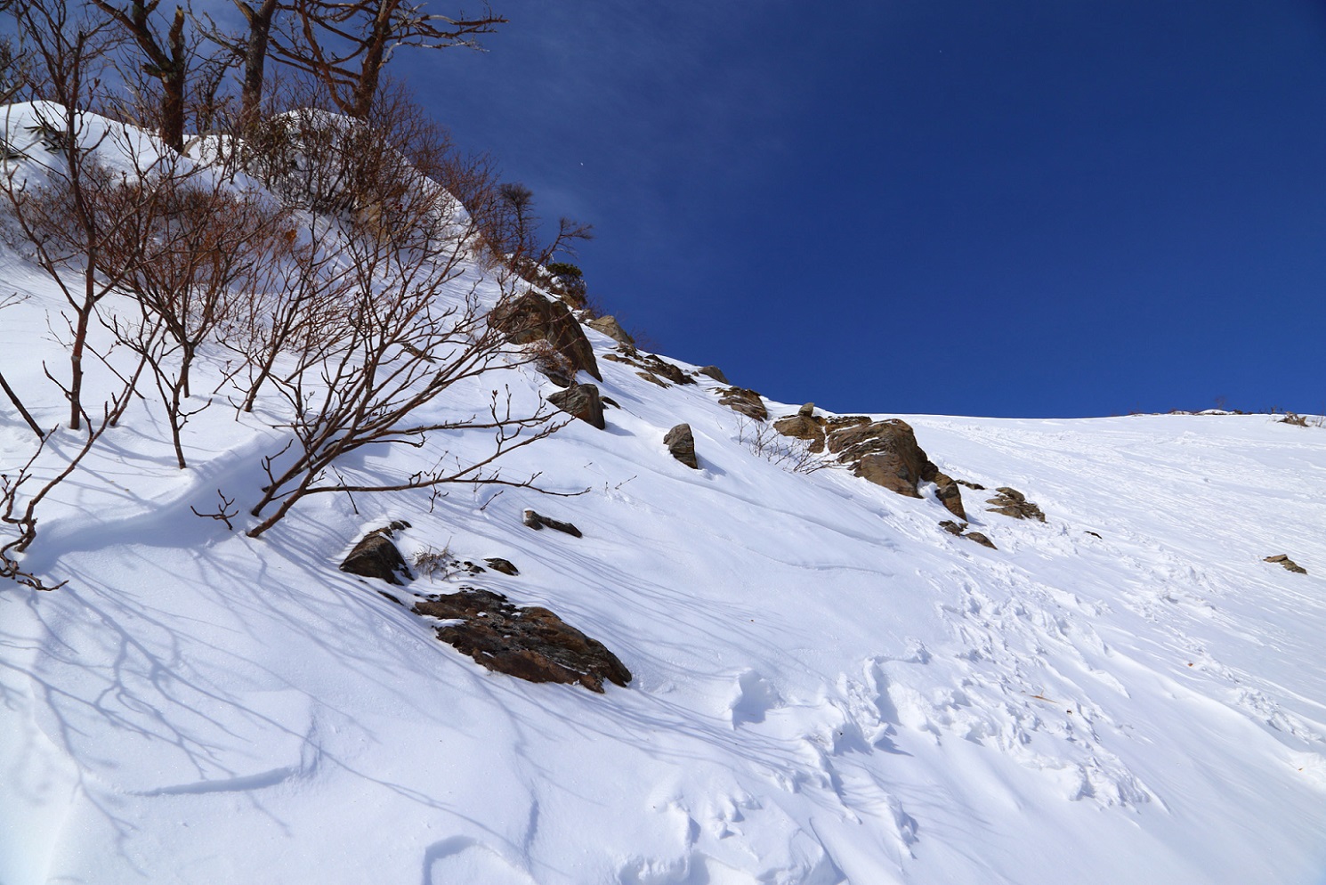 b0062024_1959350.jpg