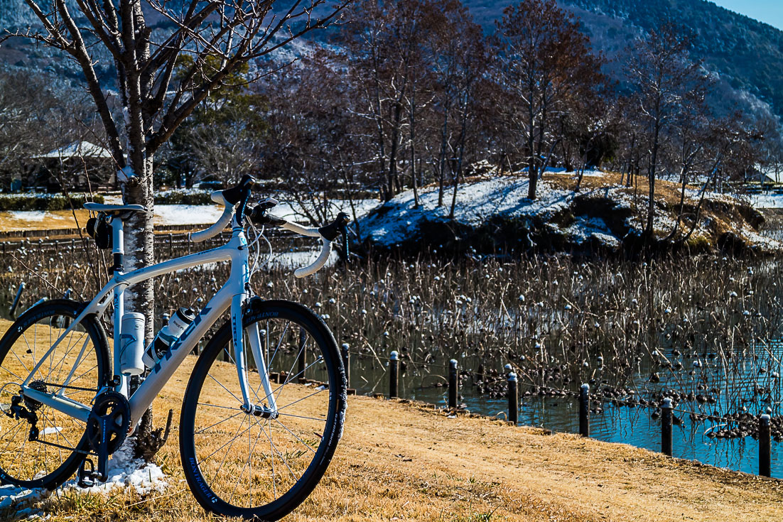 雪景の筑波路をゆく　その2_b0295234_2232306.jpg