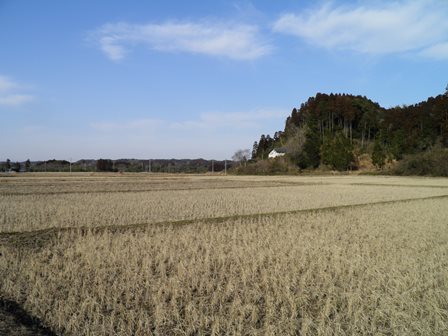 明日の「水辺の鳥の観察」イベントは中止です_a0123836_15254547.jpg