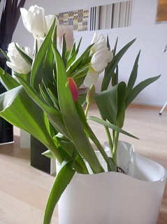 c0180339_0282313.jpg