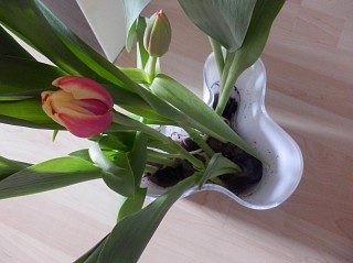 c0180339_0284732.jpg