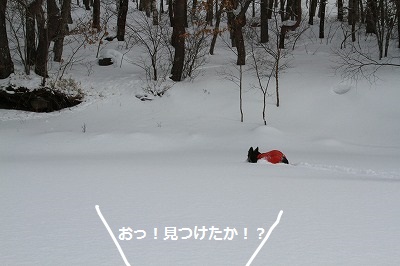 １月の蓼科☆雪遊び　その２_a0254949_1140413.jpg