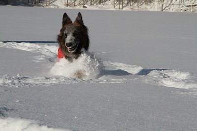 １月の蓼科☆雪遊び　その２_a0254949_1152047.jpg