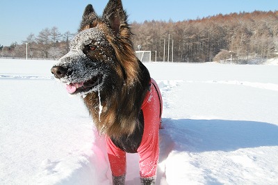 １月の蓼科☆雪遊び　その２_a0254949_118765.jpg