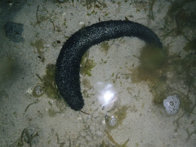 c0180460_5472410.jpg