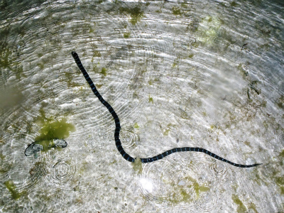 c0180460_548201.jpg