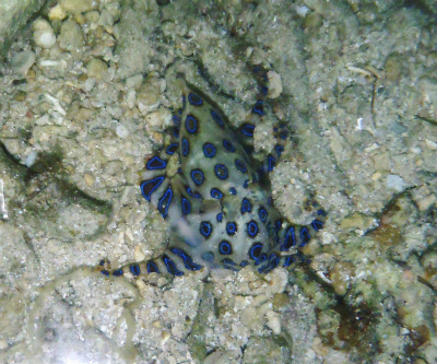 c0180460_5501287.jpg