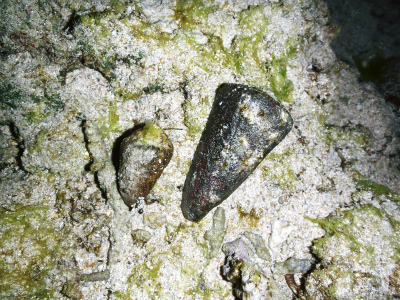 c0180460_5512833.jpg