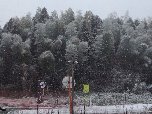 ゆき、雪_b0280161_14303021.jpg