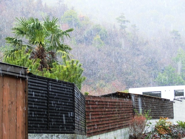c0105569_094463.jpg