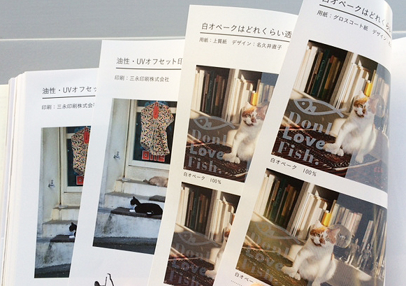 『デザインのひきだし21』発売です!_c0207090_1582024.jpg
