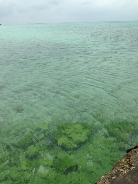f0277298_19362515.jpg