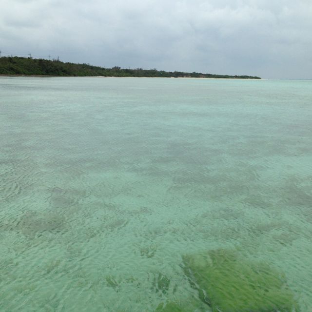f0277298_19435928.jpg