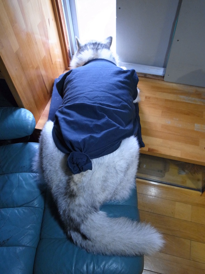 c0049299_184718.jpg