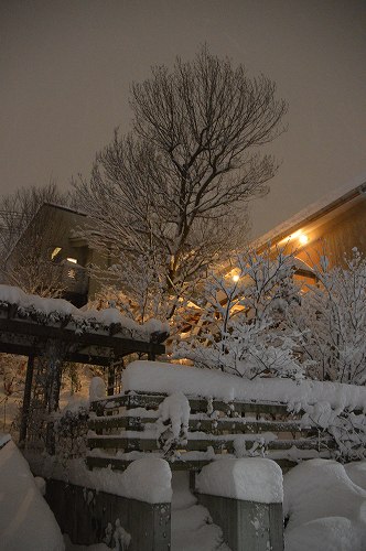 c0124100_2332448.jpg