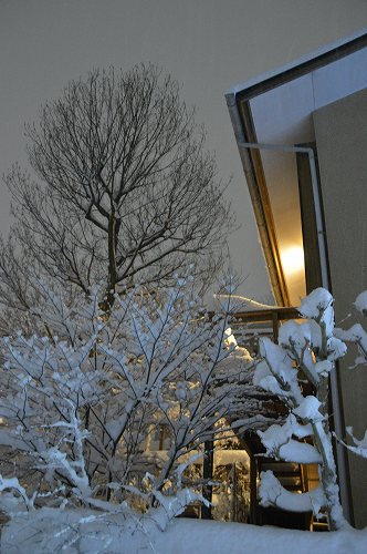 ここは雪国_c0124100_23332725.jpg