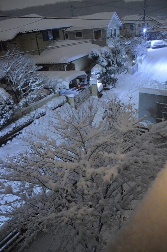 c0124100_2333284.jpg