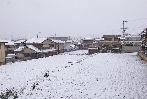 b0175301_11252749.jpg