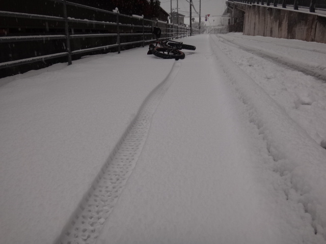 まさかの雪．．．_c0132901_10122681.jpg