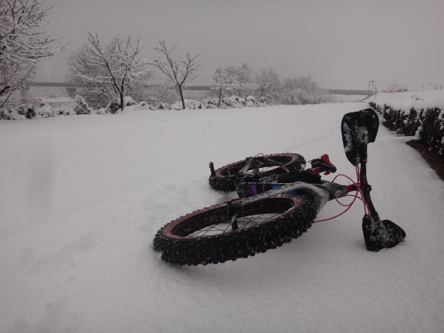 まさかの雪..._c0132901_10125266.jpg