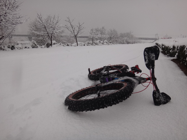 まさかの雪．．．_c0132901_10125266.jpg