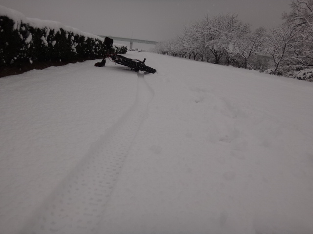 まさかの雪..._c0132901_1013330.jpg