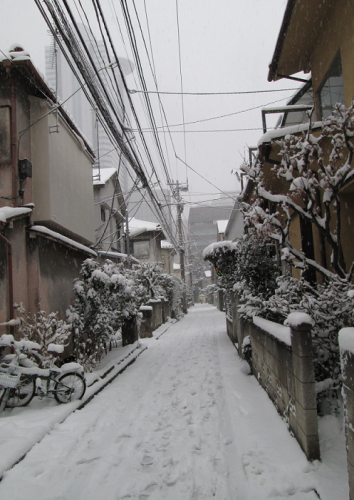 a0057402_16211649.png