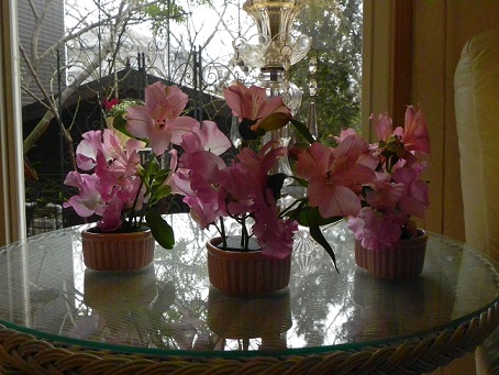c0152002_12131396.jpg