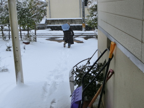 a0203003_16565025.jpg