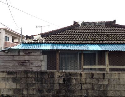 実家周辺の沖縄らしい建築_b0014003_17581161.jpg