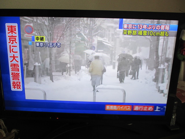 ダラ奥日記@関東は大雪_c0212604_13104995.jpg