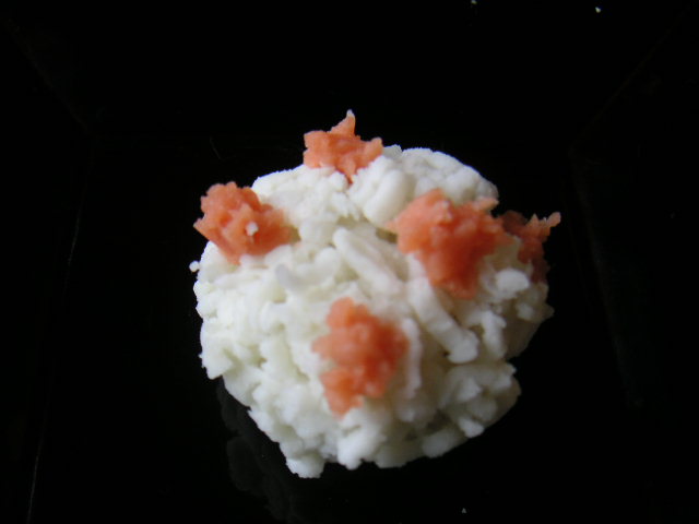 雪中梅_a0056406_10145659.jpg