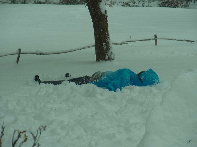 大雪です_b0049307_16535078.jpg