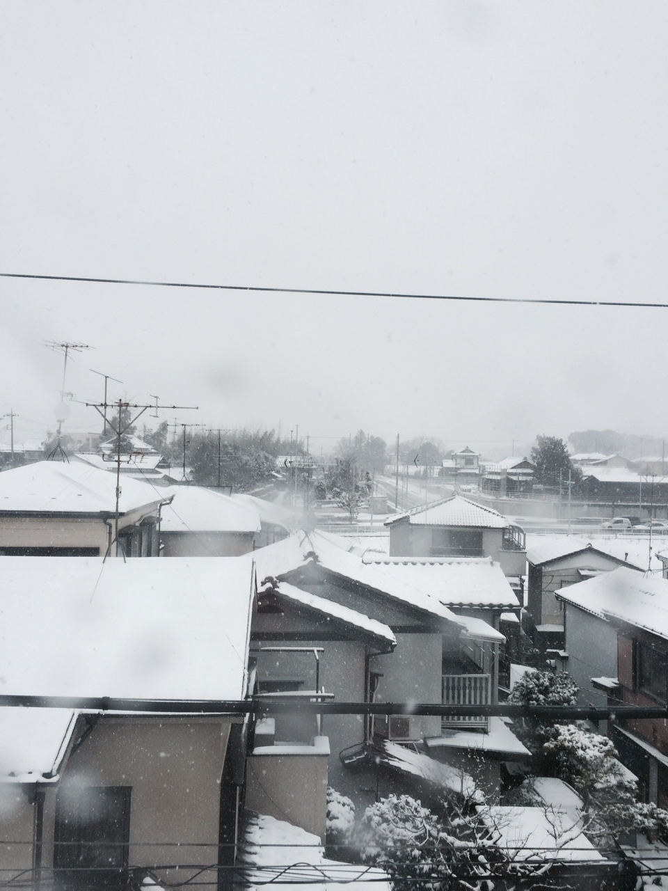 大雪警報出ました～( ﾟДﾟ)_e0320808_15460668.jpg