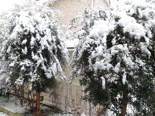c0230109_8484069.jpg