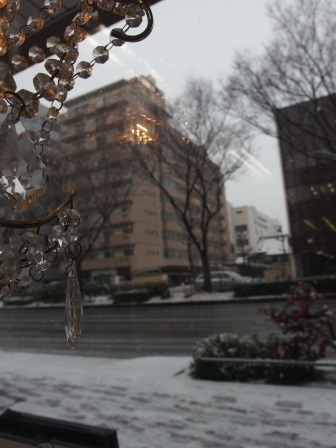 本日は雪♪_f0248512_10541277.jpg